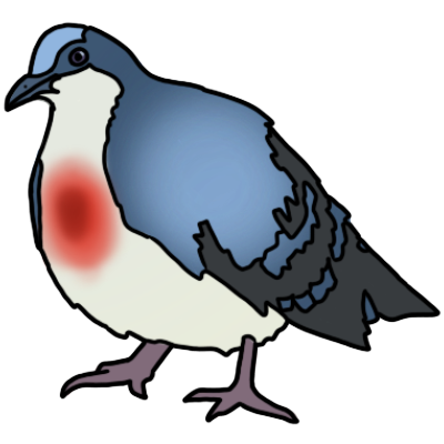 A Luzon bleeding-heart or punalada (Gallicolumba luzonica), a dove with a white belly, blue-grey back and wings, and a red patch on its chest.